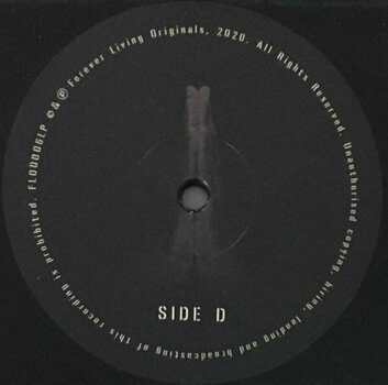 Disc de vinil Sault - Untitled (Rise) (2 LP) - 5