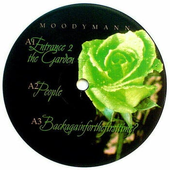 LP Moodymann - Silence In The Secret Garden (Clear Vinyl) (2 LP) - 2