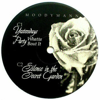 Δίσκος LP Moodymann - Silence In The Secret Garden (Clear Vinyl) (2 LP) - 4