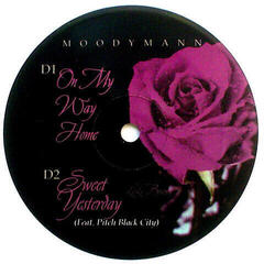 LP platňa Moodymann - Silence In The Secret Garden (Clear Vinyl) (2 LP) - 4