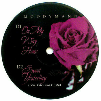 Disco de vinilo Moodymann - Silence In The Secret Garden (Clear Vinyl) (2 LP) Disco de vinilo - 5