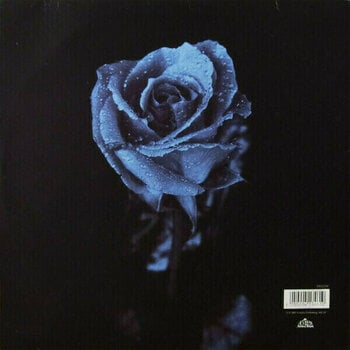 Disco de vinilo Moodymann - Silence In The Secret Garden (Clear Vinyl) (2 LP) Disco de vinilo - 6