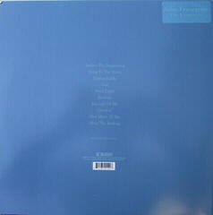 Vinyl Record John Frusciante - Empyrean (2 LP) - 6