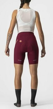 Calções e calças de ciclismo Castelli Velocissima 3 W Bordeaux/Blush S Calções e calças de ciclismo - 2