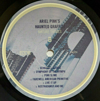 Hanglemez Ariel Pink's Haunted Graffiti - Mature Themes (LP) - 3