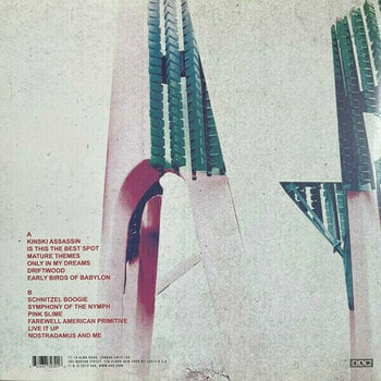 Hanglemez Ariel Pink's Haunted Graffiti - Mature Themes (LP) - 4