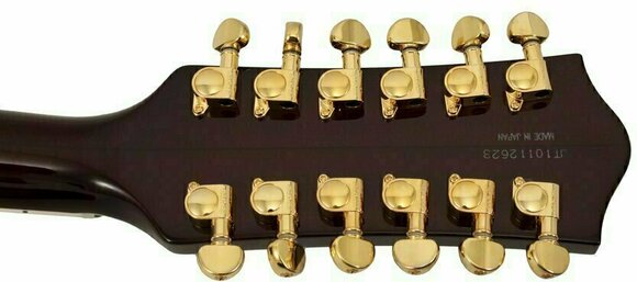 Elektrinė gitara Gretsch G6122 12 Chet Atkins 12 String Country Gentleman - 3