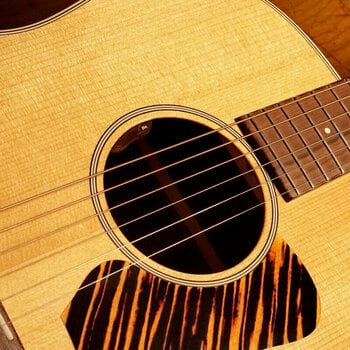 Micro guitare acoustique L.R. Baggs EAS-VTC-N - 2