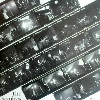 Schallplatte The Zombies - The Zombies (Clear Vinyl) (LP) - 2