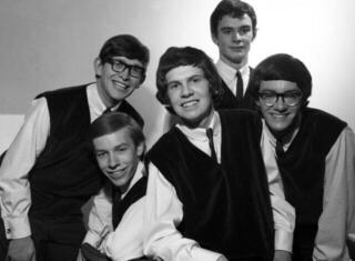 Disco de vinil The Zombies - The Zombies (Clear Vinyl) (LP) - 2