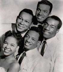 Vinylplate The Platters The Very Best Of (LP) - 2