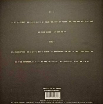 Hanglemez Sault - 5 (LP) - 4