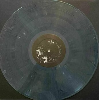 LP Fort Romeau - Beings Of Light (Silver Vinyl) (LP) - 2