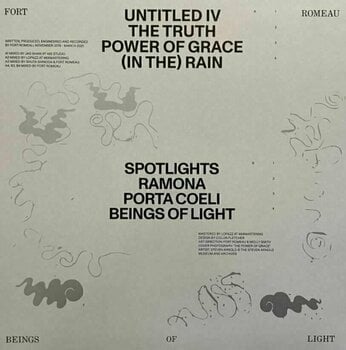 Schallplatte Fort Romeau - Beings Of Light (Silver Vinyl) (LP) - 3