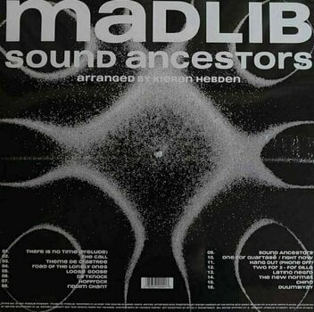 Vinyl Record Madlib - Sound Ancestors (LP) - 4