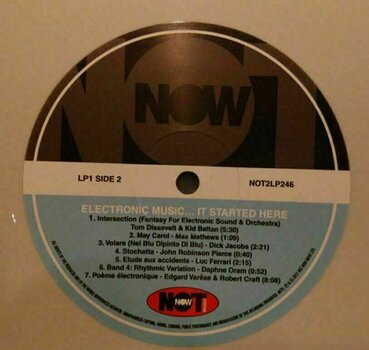 Vinyl Record Various Artists - Electronic Music… It Started Here (Grey Vinyl) (2 LP) - 3