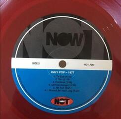 LP ploča Iggy Pop - 1977 (Red Coloured) (LP) - 2