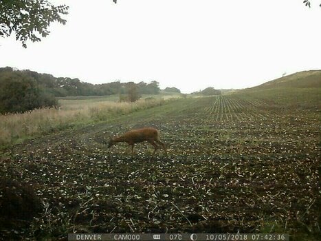 Fotopast Denver WCT‑8010 - 7