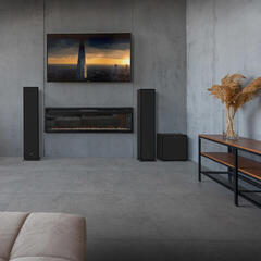 Subwoofer Hi-Fi
 Klipsch R-101SW EAU Subwoofer Hi-Fi - 6