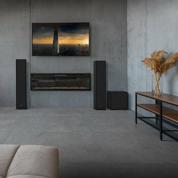 Subwoofer Hi-Fi
 Klipsch R-101SW EAU Subwoofer Hi-Fi - 7