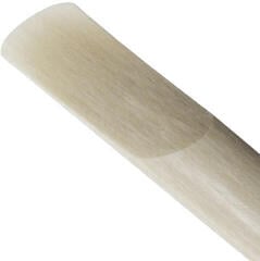 Riet voor klarinet D'Addario-Woodwinds VENN G2 2.5 Riet voor klarinet - 6