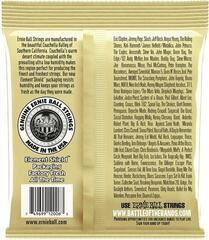 Struny pro akustickou kytaru Ernie Ball P02005 Struny pro akustickou kytaru - 1