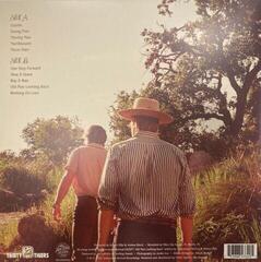 Δίσκος LP Jamestown Revival - Young Man (LP) - 1