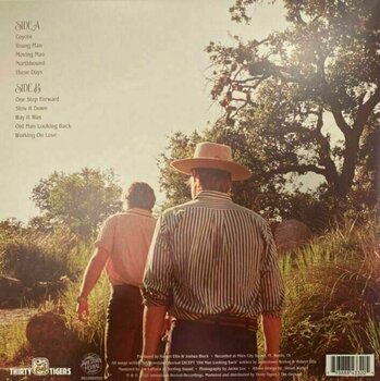 Vinyl Record Jamestown Revival - Young Man (LP) - 2
