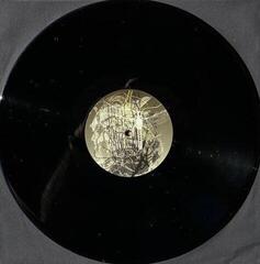 LP platňa Architects - Ruin (LP) - 2