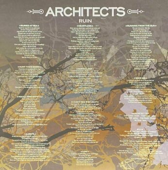 Płyta winylowa Architects - Ruin (LP) - 4