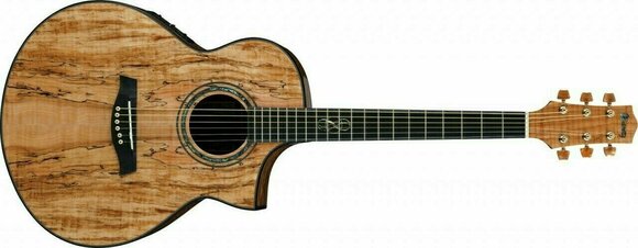 electro-acoustic guitar Ibanez EW 50SME NT - 2