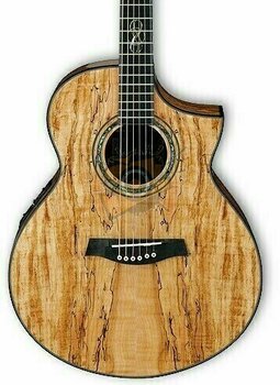 electro-acoustic guitar Ibanez EW 50SME NT - 4