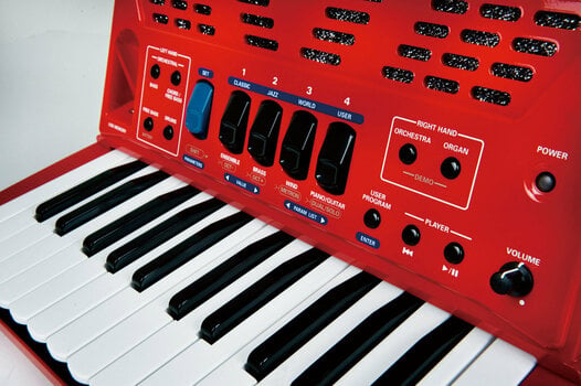 Piano accordion
 Roland FR-1x Red Piano accordion
 - 3