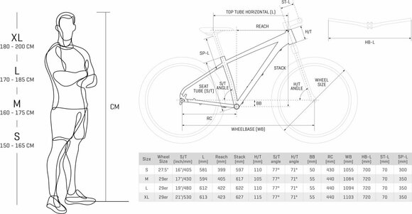 Hardtail MTB Cyclision Corph 1 MK-II Shimano XT RD-M8100-Deore XT 1x12 Cyan Night M - 6