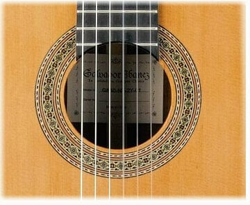 Класическа китара Ibanez G 850 NT - 2