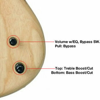 Κιθάρα Μπάσο χωρίς Τάστο Ibanez GWB1005-NTF Natural Flat - 5