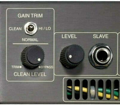 Amplificador a válvulas Mesa Boogie Electra Dyne Simul-Class 45/90 Head - 6