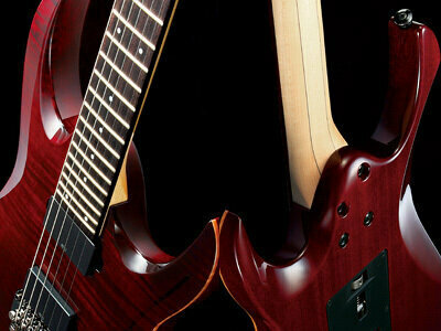 E-Gitarre Ibanez RGA 420Z PRT - 2
