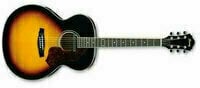 electro-acoustic guitar Ibanez SGE 130 VS - 2