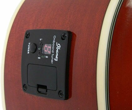 Dreadnought Guitar Ibanez SGT 120E HS - 5