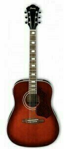 Akoestische gitaar Ibanez SGT 120E VBS - 4