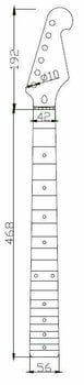 Guitar neck Dr.Parts TL R 21 Rosewood Guitar neck - 4