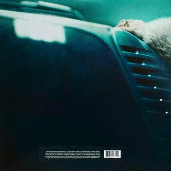 Disque vinyle Beyoncé Lemonade (2 LP) - 8
