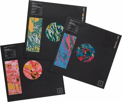 Vinylplade Foals - Collected Reworks (Coloured Vinyl) (3 LP) - 5