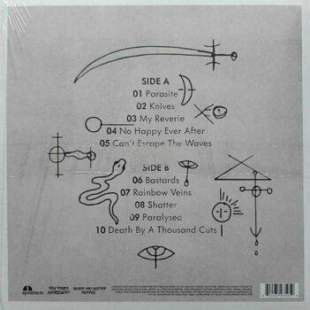 LP deska Bullet For My Valentine - Bullet For My Valentine (Coloured) (LP) - 5