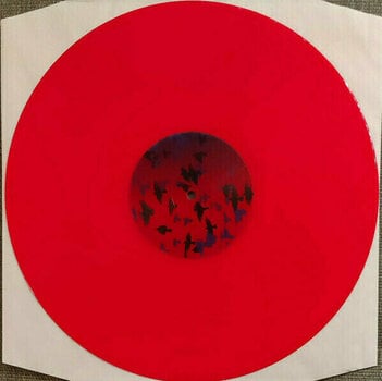 Disque vinyle Atticus Ross - Earthquake Bird (LP) - 2