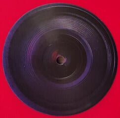 LP Atticus Ross - Earthquake Bird (LP) - 2