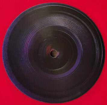 Disque vinyle Atticus Ross - Earthquake Bird (LP) - 3