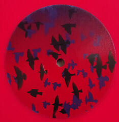 LP Atticus Ross - Earthquake Bird (LP) - 3