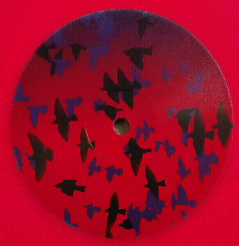 Δίσκος LP Atticus Ross - Earthquake Bird (LP) - 4